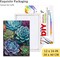 Paint by Numbers Kit with Framed - Succulent Paint by Numbers for Adults Beginner Plants DIY Acrylic Painting by Numbers Kit Colorful Paintworks Artwork, 12x16 Inch